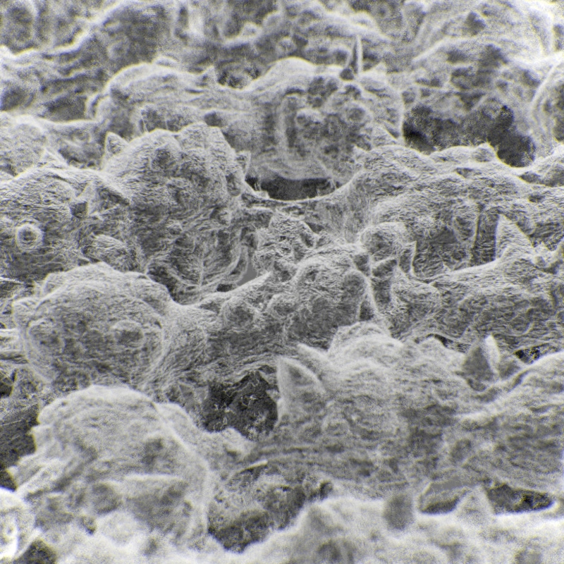 Daily Blender Render Image by zuggamasta