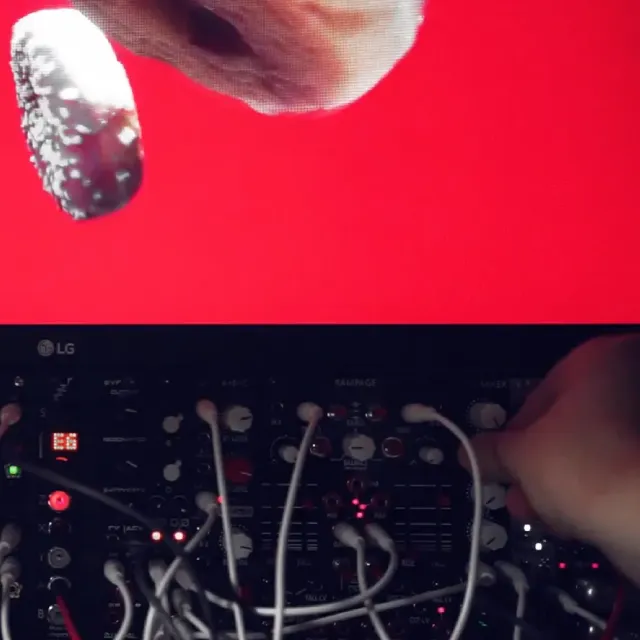 Starting in 2020, I fulfilled a dream and put together a modular &ldquo;Eurorack&rdquo; synthesizer. Usually counted in HP (width) and U (height) this build went from 98HP 3U to double its size in 2022. I keep recording my experiments and live performances on this ever growing system. You can find links to youtube videos of the recordings here: